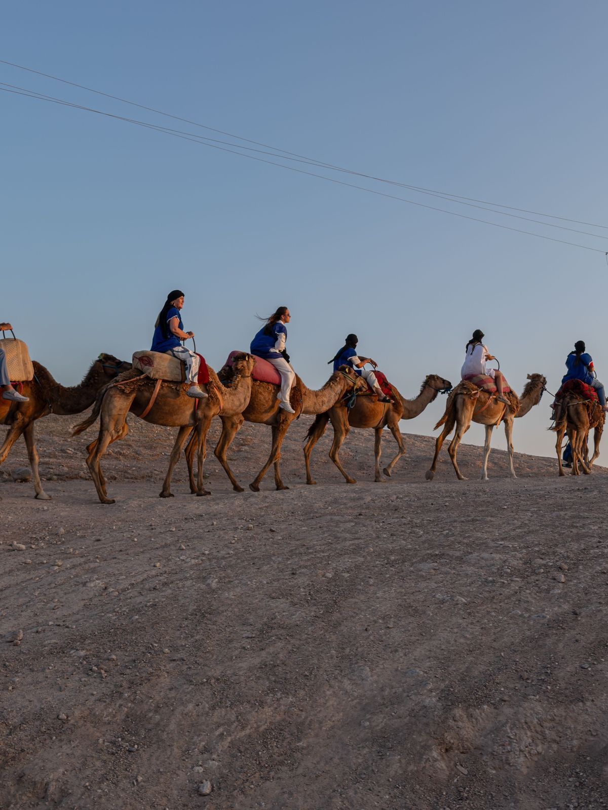 Camel ride in the Agafay desert at golden hour